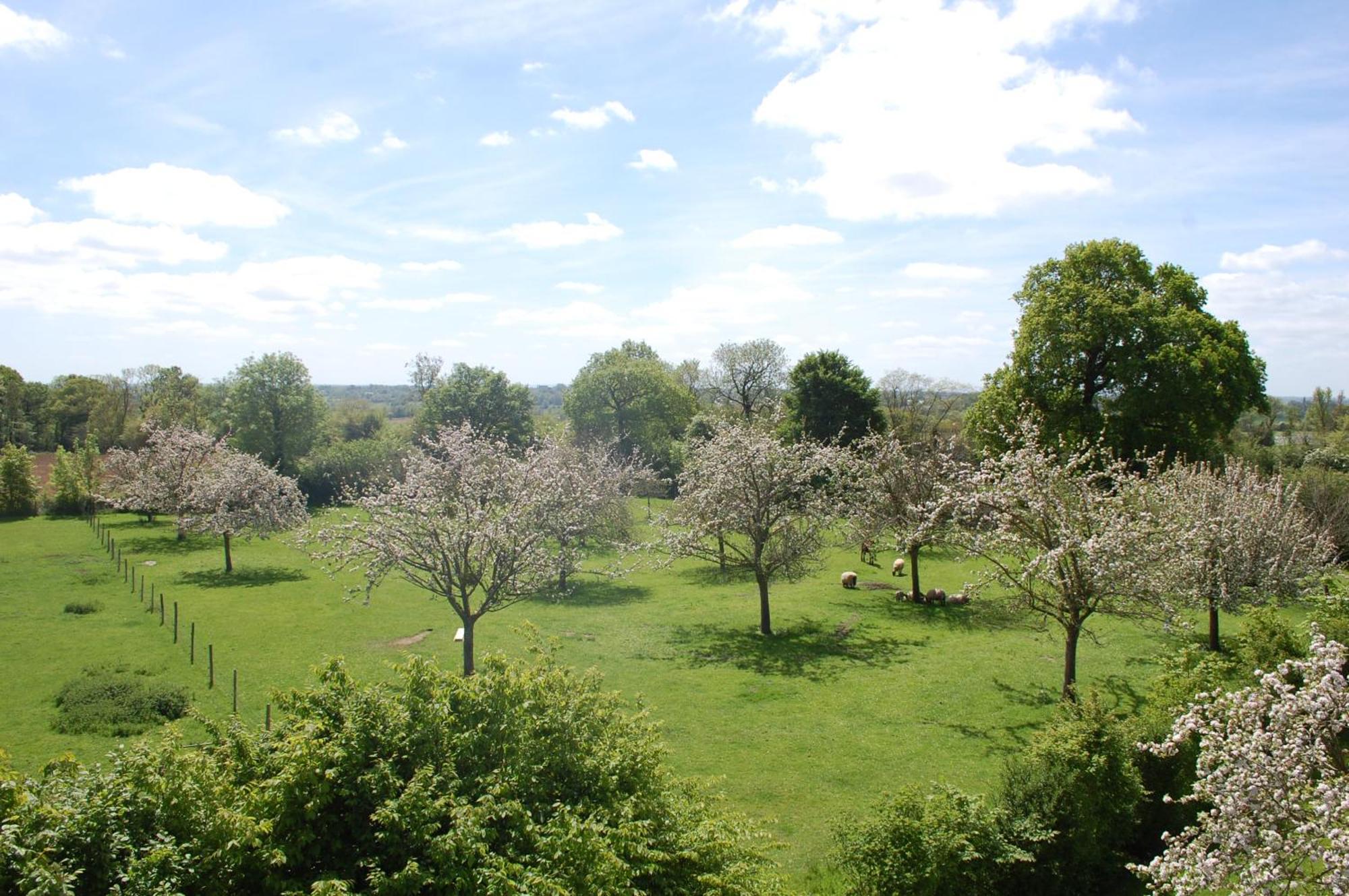 Le Clos Des Pommiers Tracy-sur-Mer Eksteriør bilde